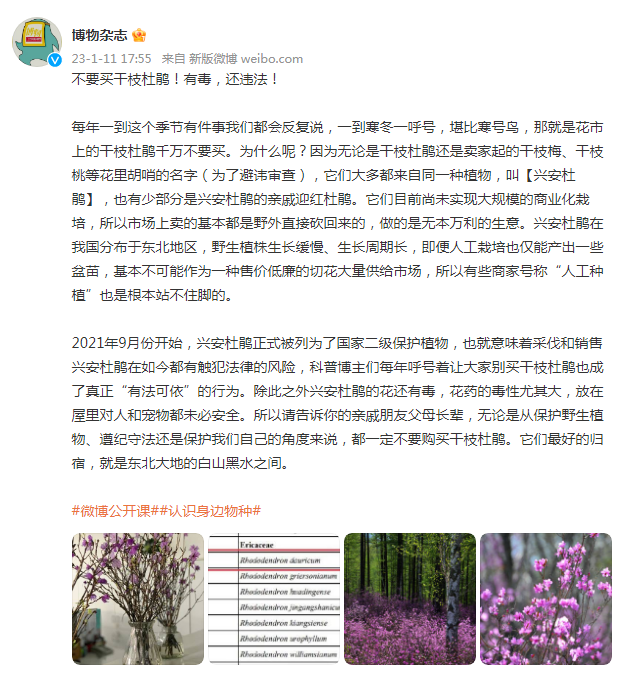 再次提醒!毒性很大!不要购买!