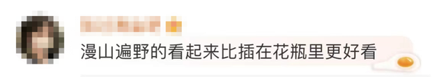再次提醒!毒性很大!不要购买!