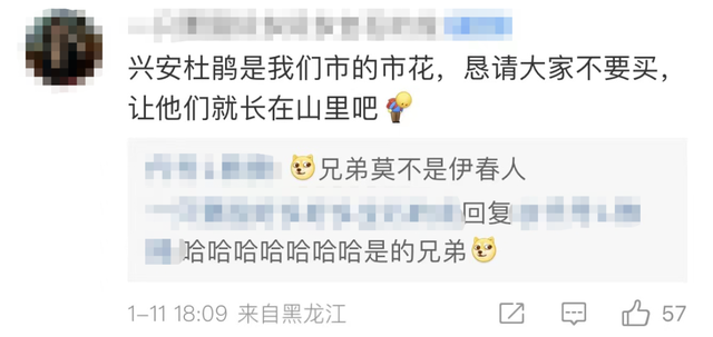 再次提醒!毒性很大!不要购买!