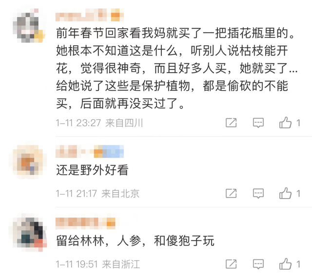 再次提醒!毒性很大!不要购买!